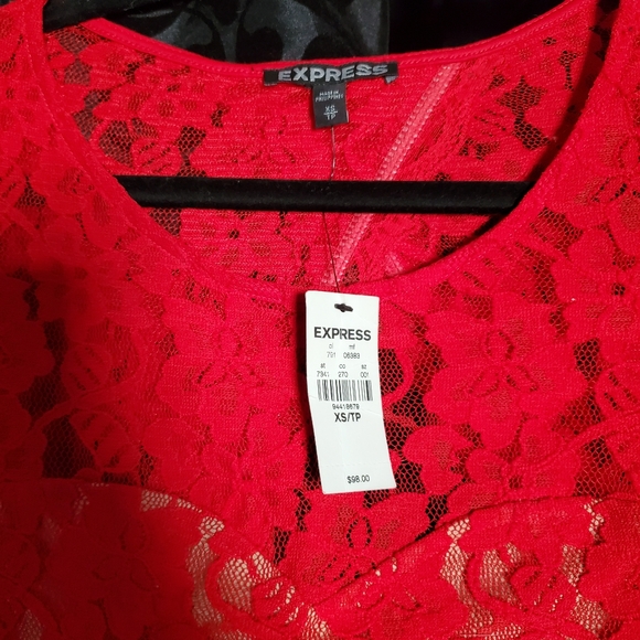 Express Lace Dress - Picture 2 of 3